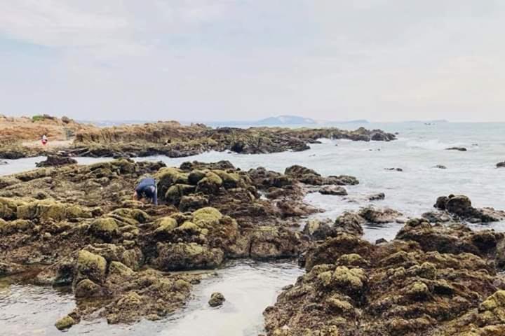 Suoi Nuoc Resort Mũi Né Eksteriør bilde